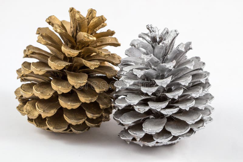 Two pine cones isolated royalty free stock images Two pine cones isolated royalty free stock images