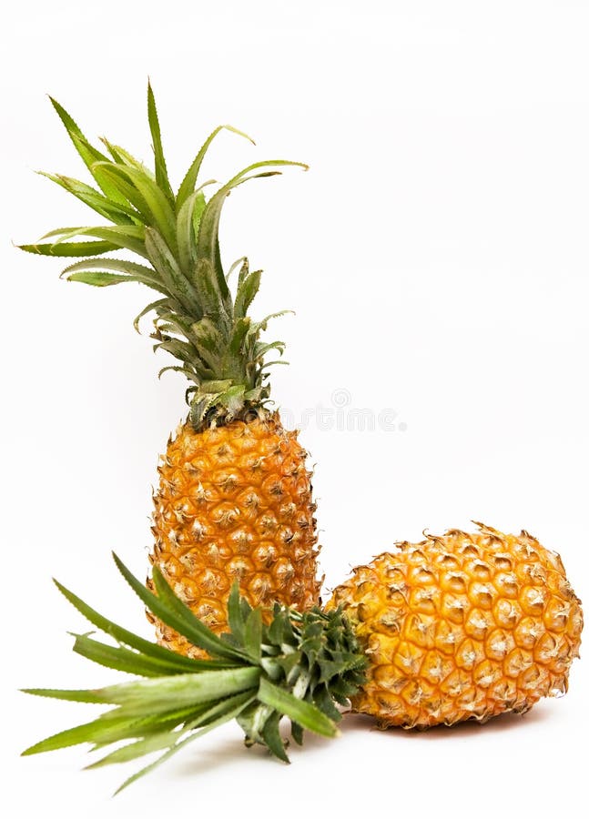 Two Pineapples Royalty Free Stock Images Image 18052699