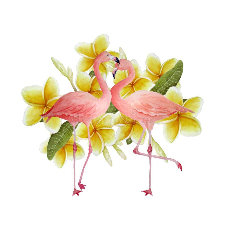 Two pink flamingo, romantic couple in love with yellow plumeria frangipani flowers. Tropical exotic bird rose flamingos