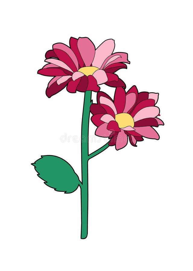 Two pink flowers stock vector. Illustration of drawing - 277124635