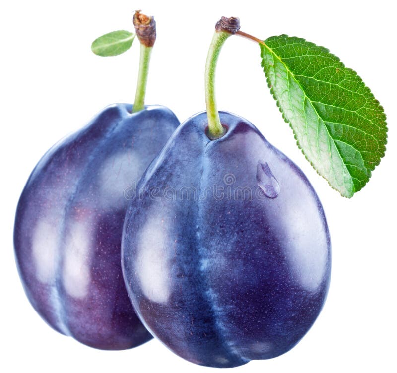 474 Two Ripe Red Plums Isolated Stock Photos Free & RoyaltyFree