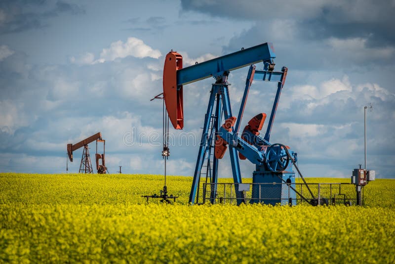 Two pump jacks in a canola field in Saskatchewan, Canada