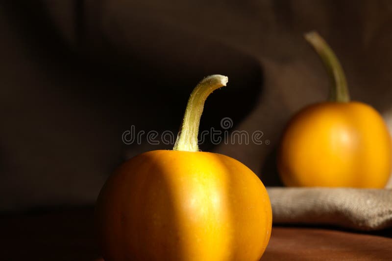 Two Pumpkins