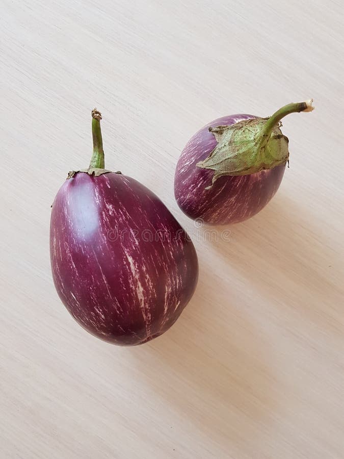 Two Purple Aubergine Eggplant with White Stripes on the Table Stock