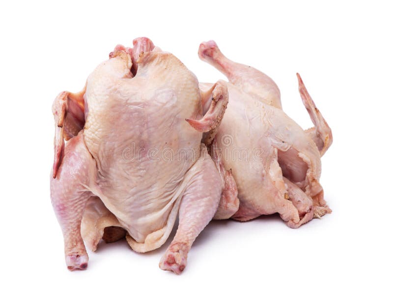 Two raw chicken carcass stock photo. Image of cook, meat - 190643346