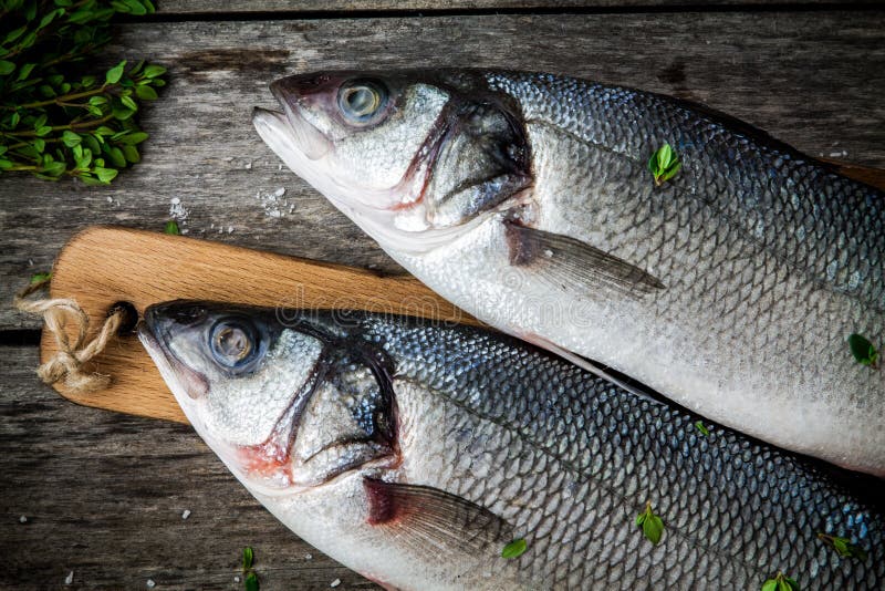 Two Raw Fresh Sea Bass Closeup on a Rustic Wooden Table Stock Image