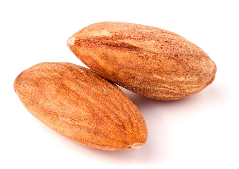 Two Raw Peeled Almonds Close Up Macro Stock Image Image of nature