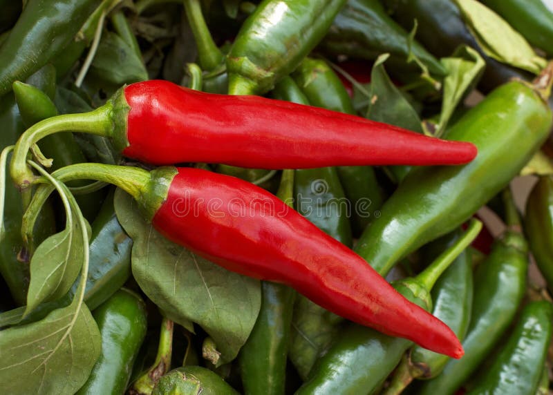 Two red cayenne peppers