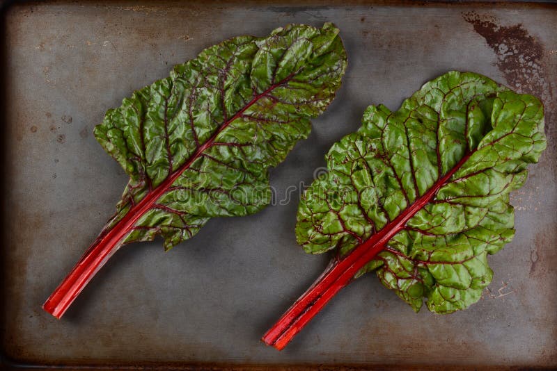 Two Red Chard Stalks stock image. Image of life, stalks 56426915