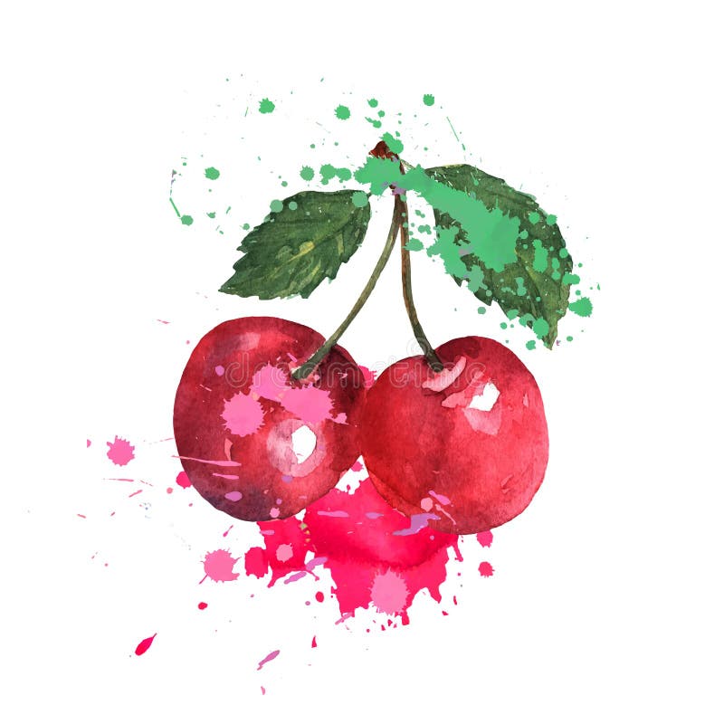 Two red cherries are splashed with watercolors on a white background. Bright sweet color. Sweet fruit.