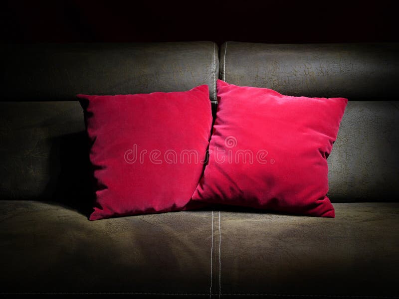 Decorative Pillows on Leather Sofa Stock Photo Image of sleep