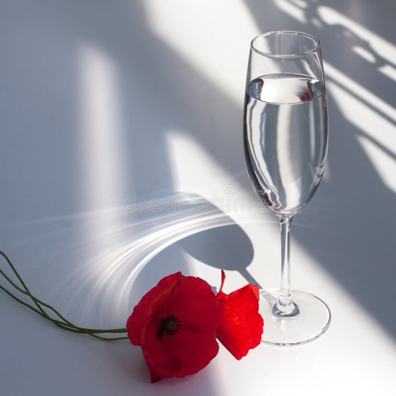 Two red poppy flowers on white table with contrast sun light and shadows and wine glass with water closeup