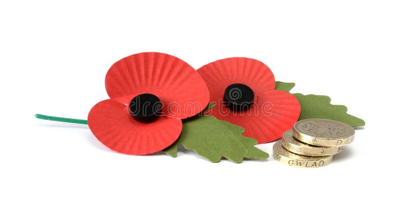 Two Remembrance Poppies with stacked UK coins