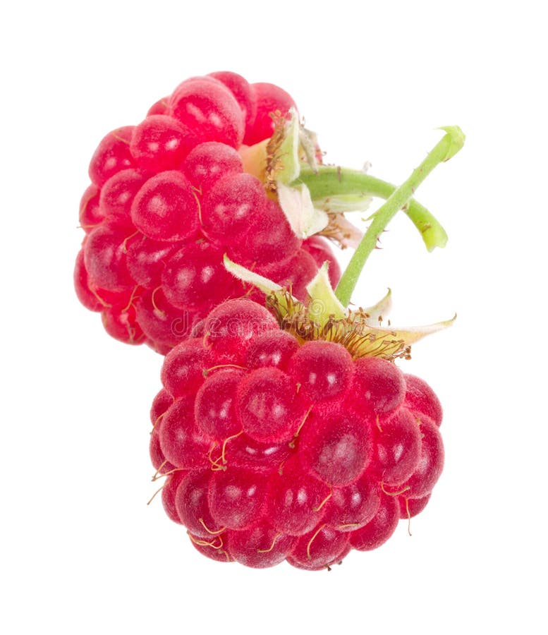 Two ripe raspberries