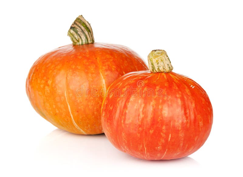 Two ripe small pumpkins