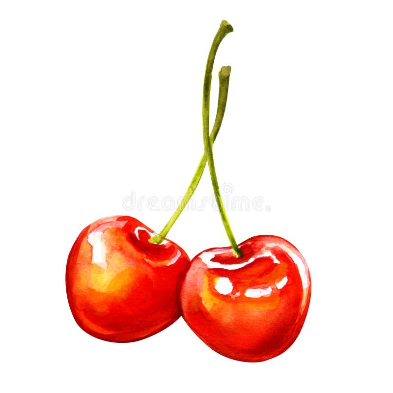 Two ripe sweet red cherry berries isolated stock photography Two ripe sweet red cherry berries isolated stock photography