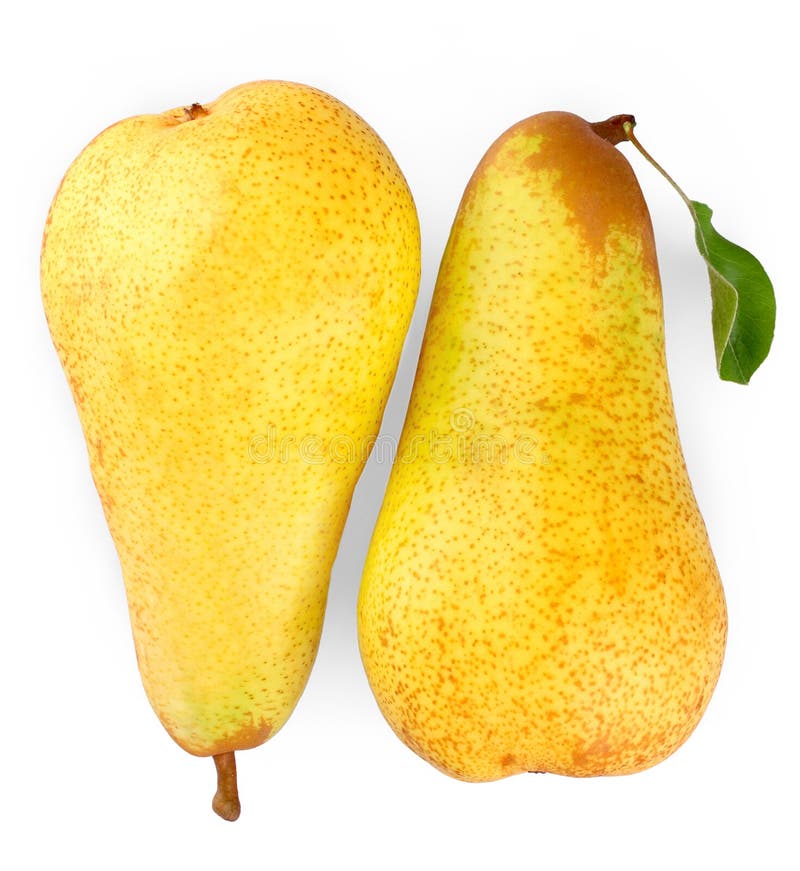 Two Ripe Yellow Pears On White Background, Close Up Stock Photo Image of freshnes, organic