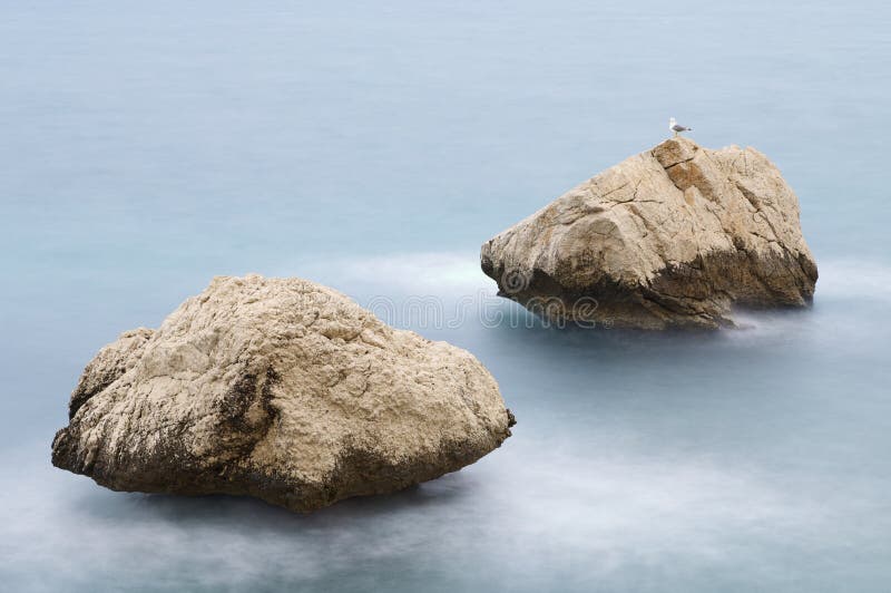 Two rocks and gull in calm sea