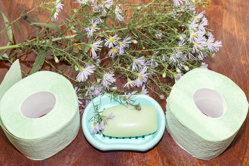 Two Rolls of Toilet Paper and Soap on the Table Top View Stock Image