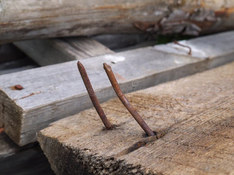 Two rusty nails in wood stock photo. Image of macro, wall 82009382