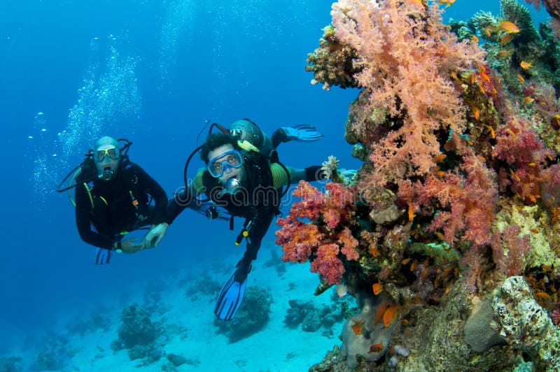 Two scuba divers