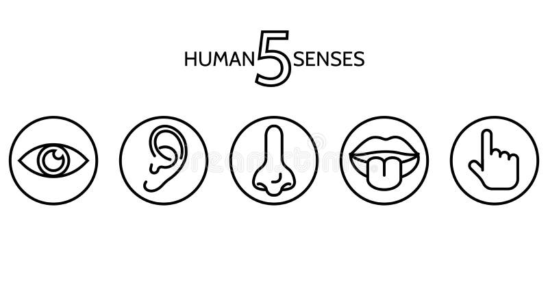 5 Senses Set Stock Illustrations – 94 5 Senses Set Stock Illustrations ...