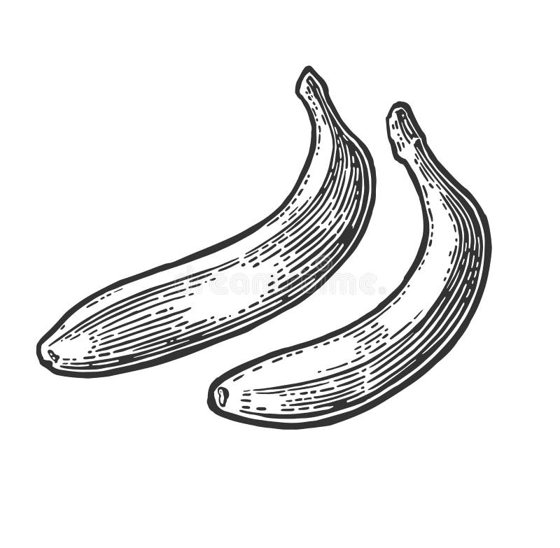Single Banana Stock Illustrations – 4,711 Single Banana Stock ...