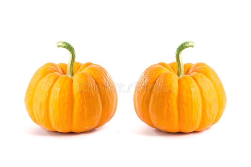 Two small decorative orange pumpkins