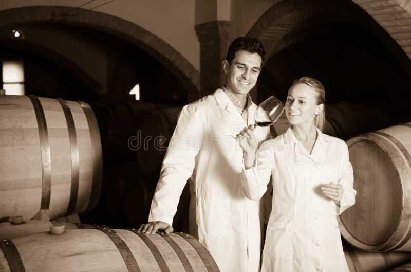 Two Smiling Wine House Workers Checking Quality of Product Stock Image Image of sommelier