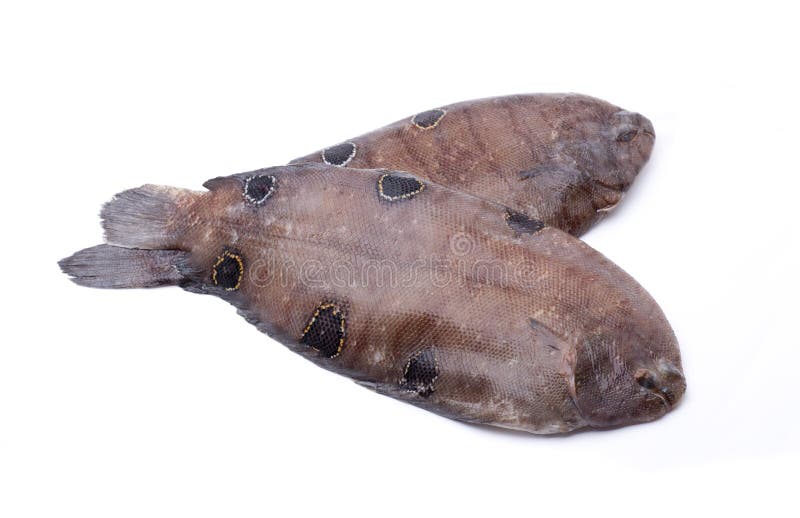 Two sole stock photo