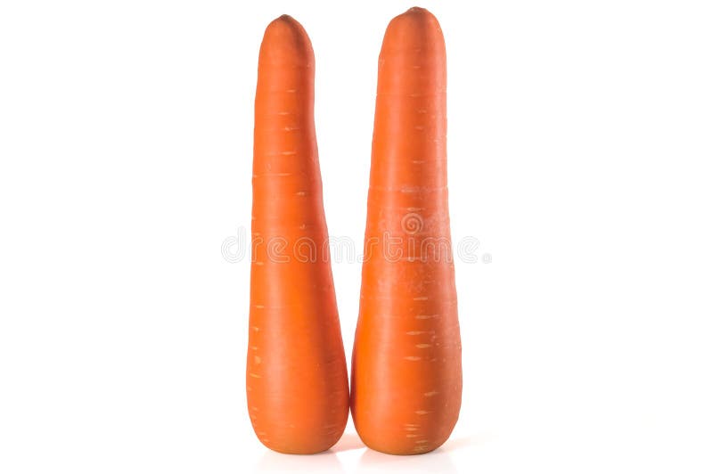 Two standing fresh orange carrots isolated on white background