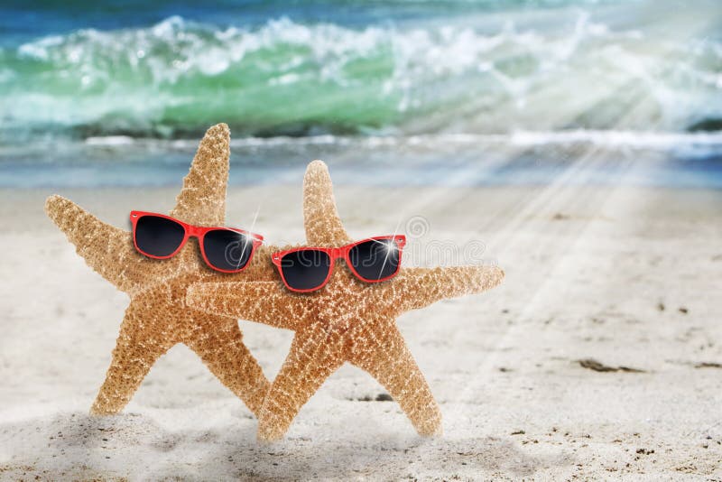 Felici due stelle marine vestito di rosso retrò wayfarer occhiali da sole in piedi sulla spiaggia riscaldato dai raggi di luce dal sole.
