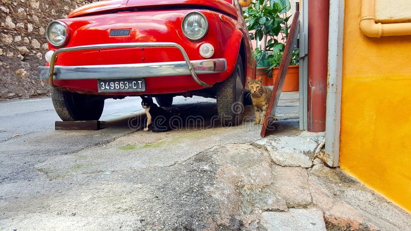 Two stray cats and an old red fiat on a picturesque stone alley in Taormina Sicily, Italy royalty free stock image Two stray cats and an old red fiat on a picturesque stone alley in Taormina Sicily, Italy royalty free stock image