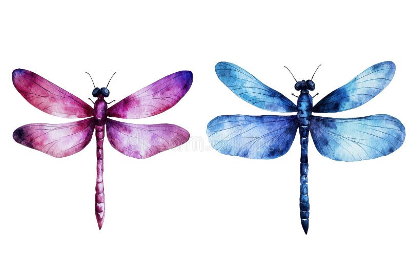 Watercolor Blue Mauve Dragonfly T-Shirt Watercolor Blue Mauve Dragonfly T-Shirt