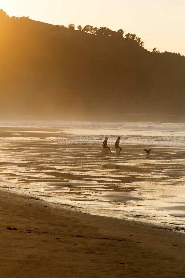 Two Surfers Sit on the Shore of the Ocean Watching the Sunset. Stock ...