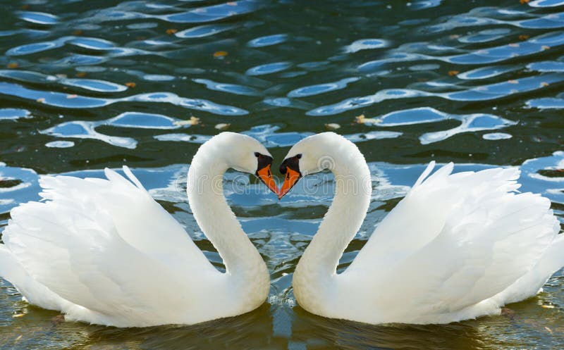 Dating Lake Изображения: просматривайте стоковые фотографии, векторные изображен