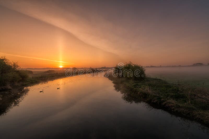 Two swans drifting along a misty river Nene at sunrise