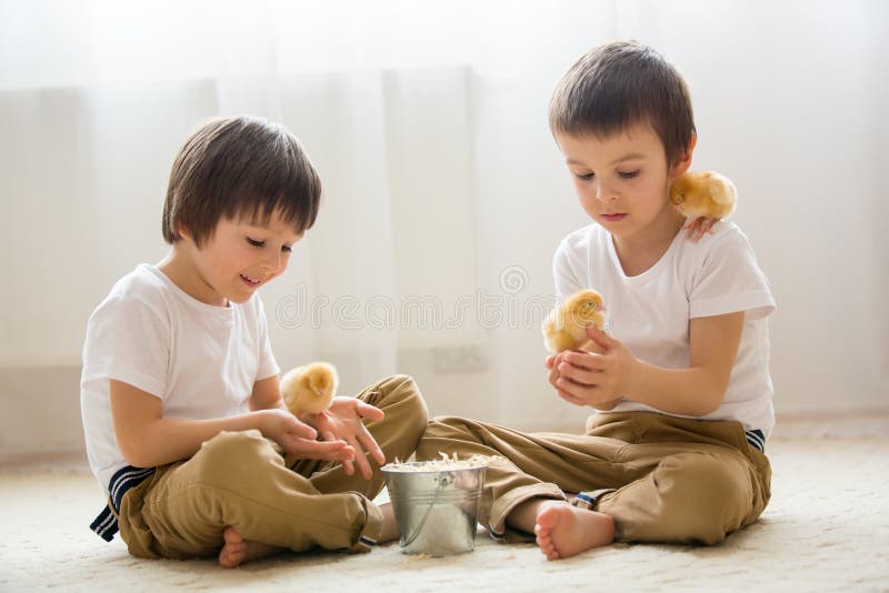 Two Sweet Little Children, Preschool Boys, Brothers, Playing Wit Stock ...