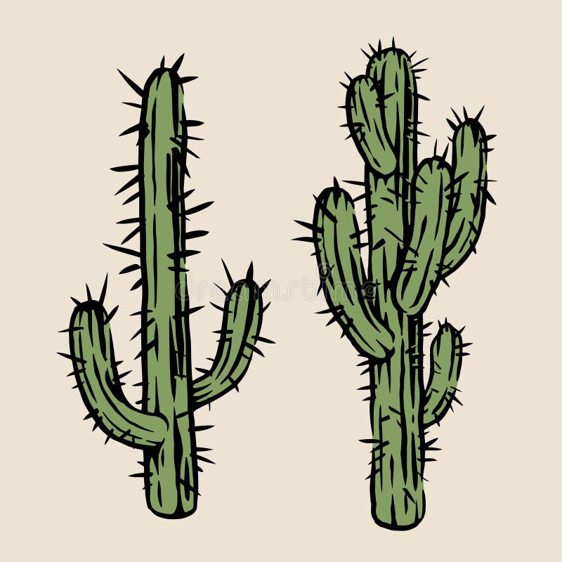 Spiny desert cacti vector illustration