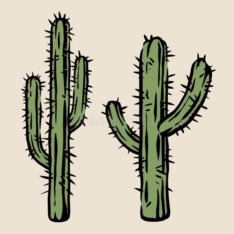 Two tall green cacti stand royalty free illustration