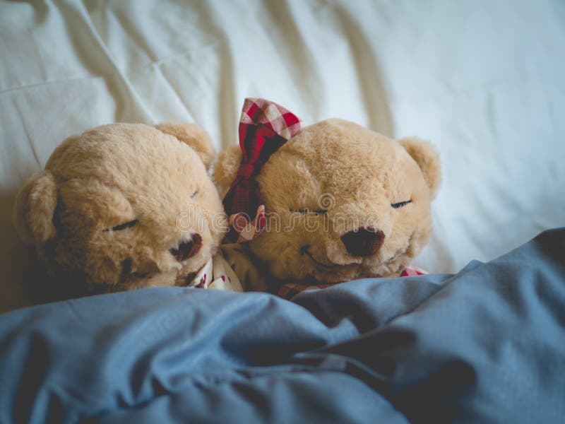 couples teddy bear