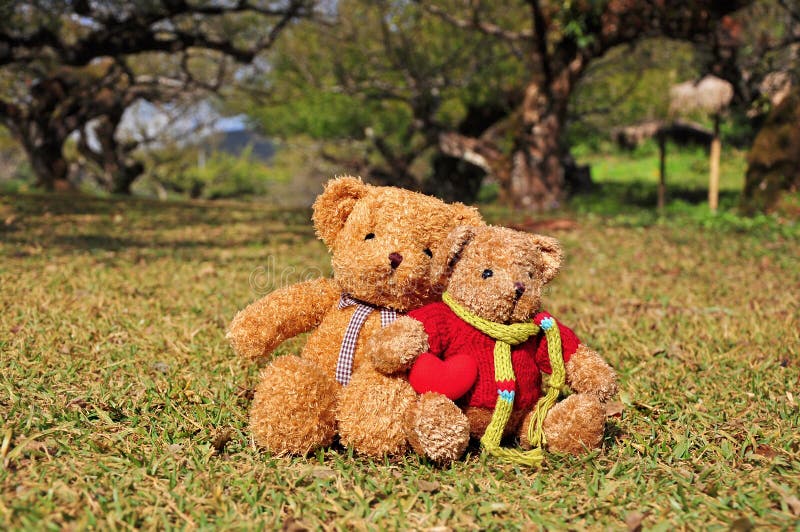 Two Teddy Bears Sitting In The Garden With Love. Royalty Free Stock Images - Image: 36880509