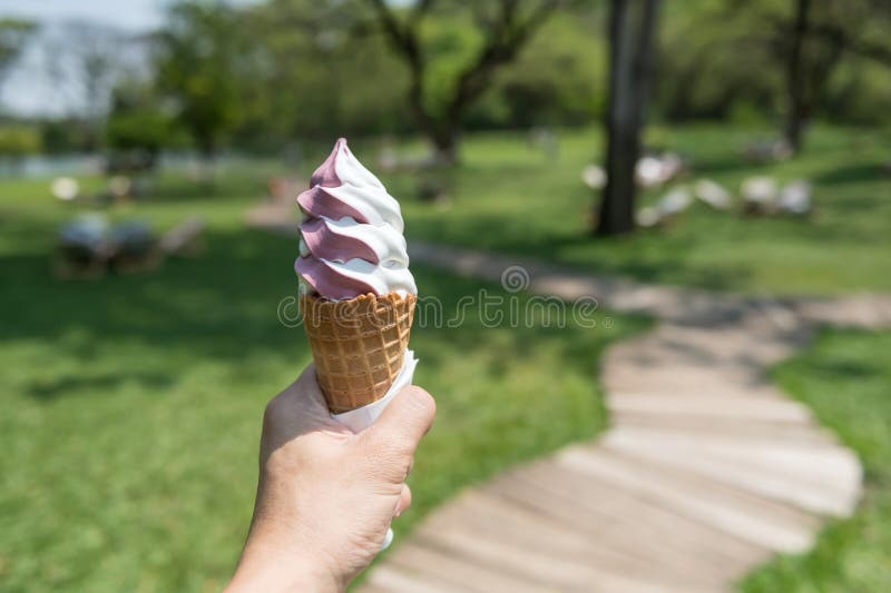 Two Tone Black Mulberry and Milk Ice Cream in Outdoor Park Cafe Stock ...