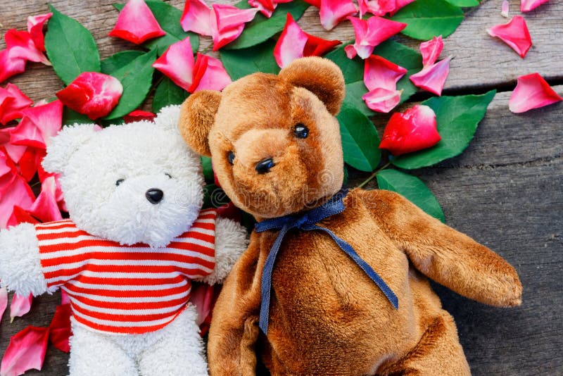 Two Toy bear doll have falling in love with Rose petals background .