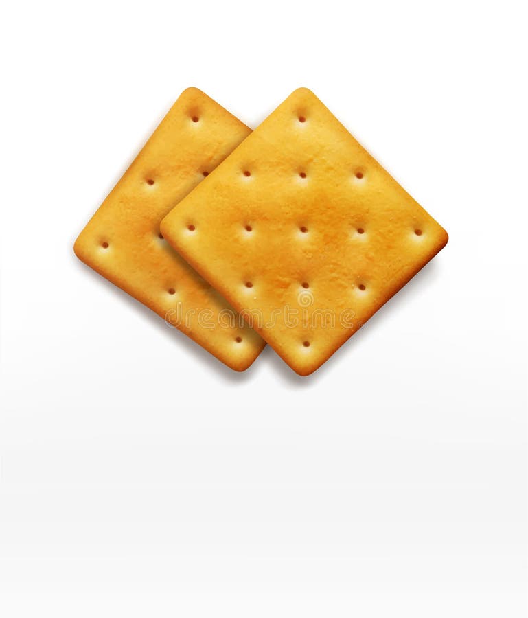 Two vector cracker on white background