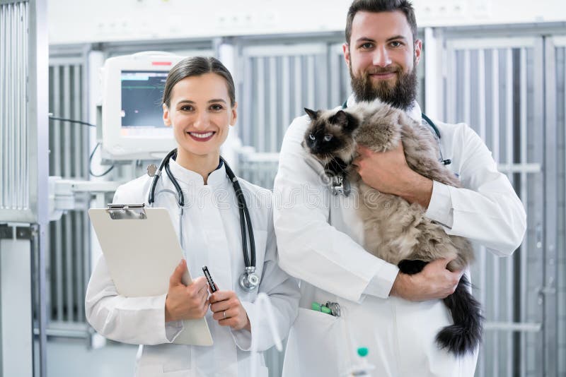 4,290 Vet Emergency Clinic Stock Photos - Free & Royalty-Free Stock Photos from Dreamstime 4,290 Vet Emergency Clinic Stock Photos - Free & Royalty-Free Stock Photos from Dreamstime