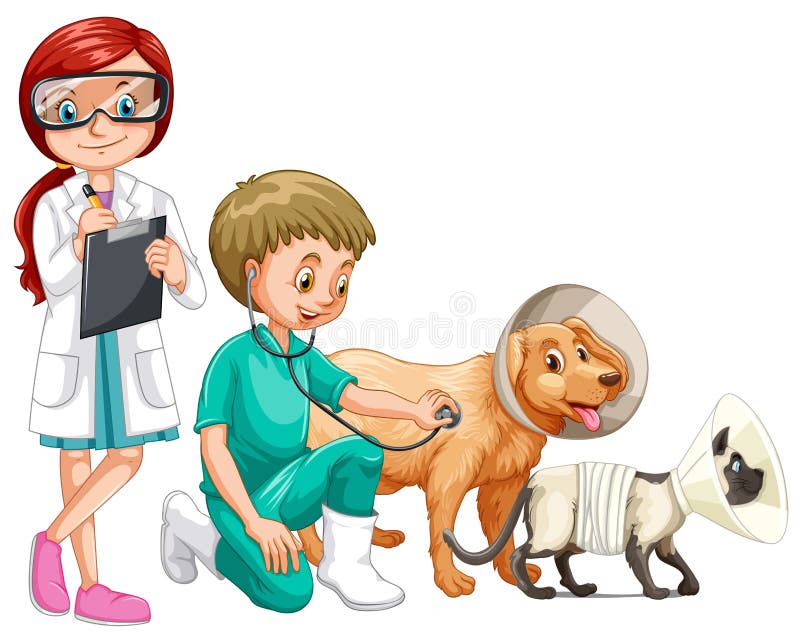 Two vets and animals stock vector. Illustration of clipping - 73718898