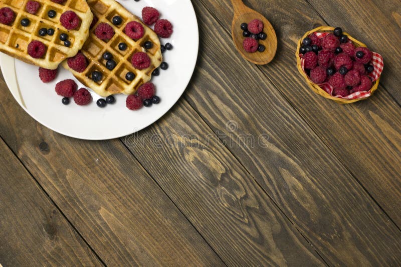 Two waffles on a white plate with blueberries top view royalty free stock images