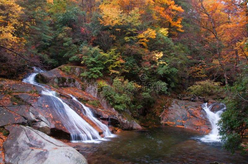 Two waterfall in golden fall forest royalty free stock photography Two waterfall in golden fall forest royalty free stock photography