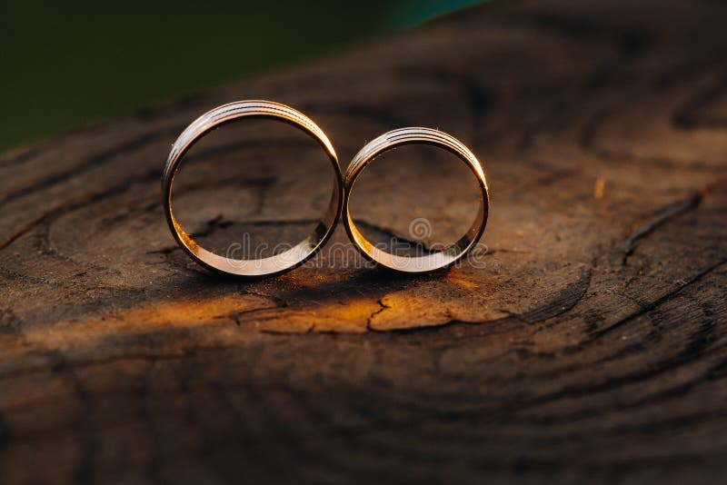 Two Wedding Engagement Rings on a Wooden Base for a Gold Ring of a Loving Wedding   of Love Stock Photo - Image of married, bride: 189485972